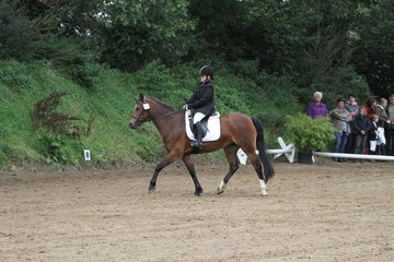 Bild 880 - WBO-Turnier am 18.9.11